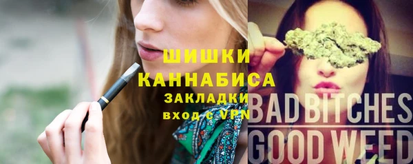 индика Осташков