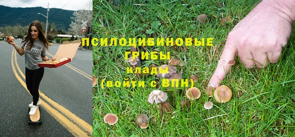 хмурый Алексеевка